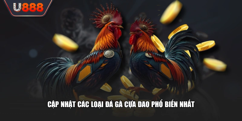 Trận Đấu Đá Gà Cựa Dao Màn So Tài Tốc Độ Kịch Tính 3 Cập nhật các loại đá gà cựa dao phổ biến nhất