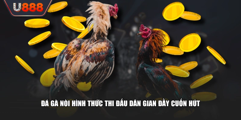 Đá Gà Nòi Thỏa Mãn Đam Mê Với Các Màn Đấu Đỉnh Cao 2 Đá gà nòi hình thức thi đấu dân gian đầy cuốn hút