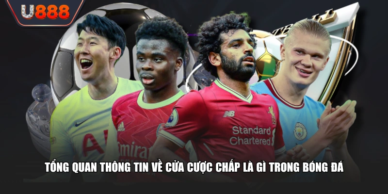 Tổng quan thông tin về cửa cược chấp là gì trong bóng đá