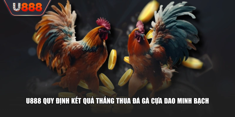 Trận Đấu Đá Gà Cựa Dao Màn So Tài Tốc Độ Kịch Tính 4 U888 quy định kết quả thắng thua đá gà cựa dao minh bạch